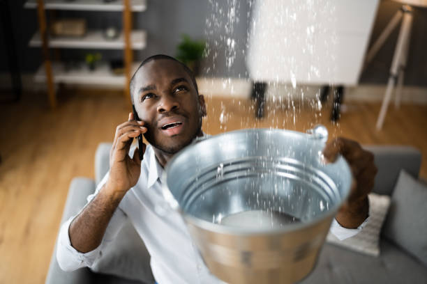 Best 24-hour water damage restoration  in Lake Magdalene, FL