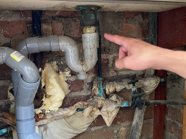 Best 24/7 water damage repair  in Lake Magdalene, FL